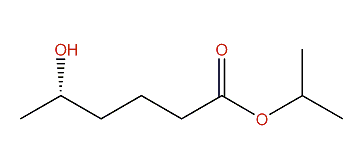 (S)-isopropyl 5-hydroxyhexanoate